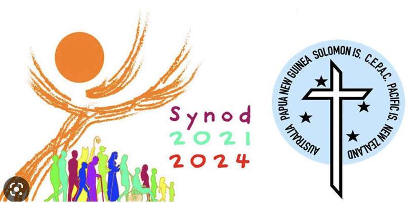 What would you want to say at the Synod?